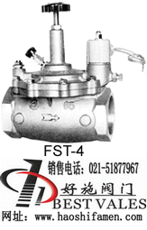 FST-4ŷ